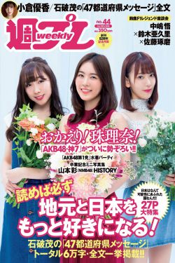 传家 电视剧